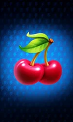 Fortune Power: Hold & Win