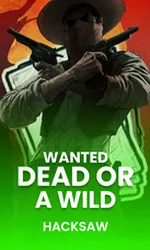 Wanted Dead or a Wild
